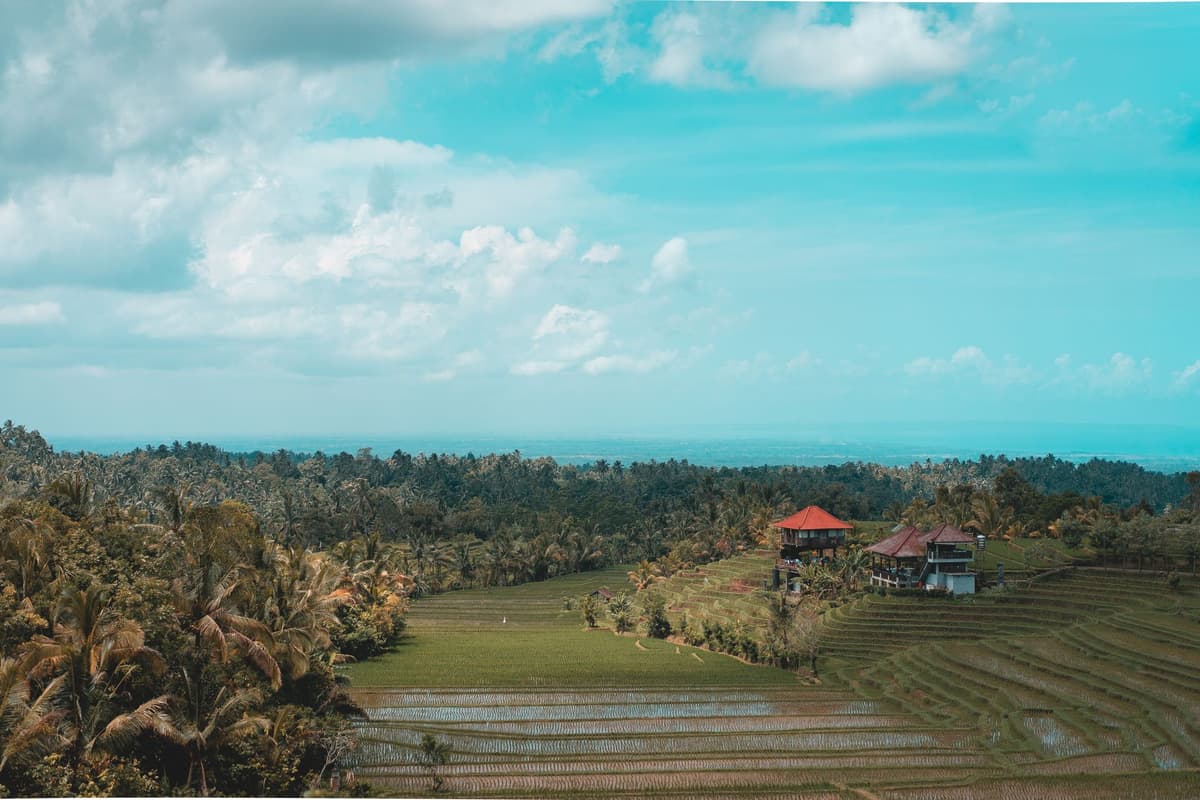 eSIM in Ubud Rice Terraces 2