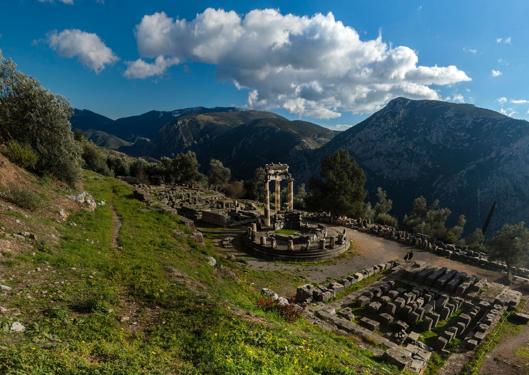 eSIM in Delphi 2