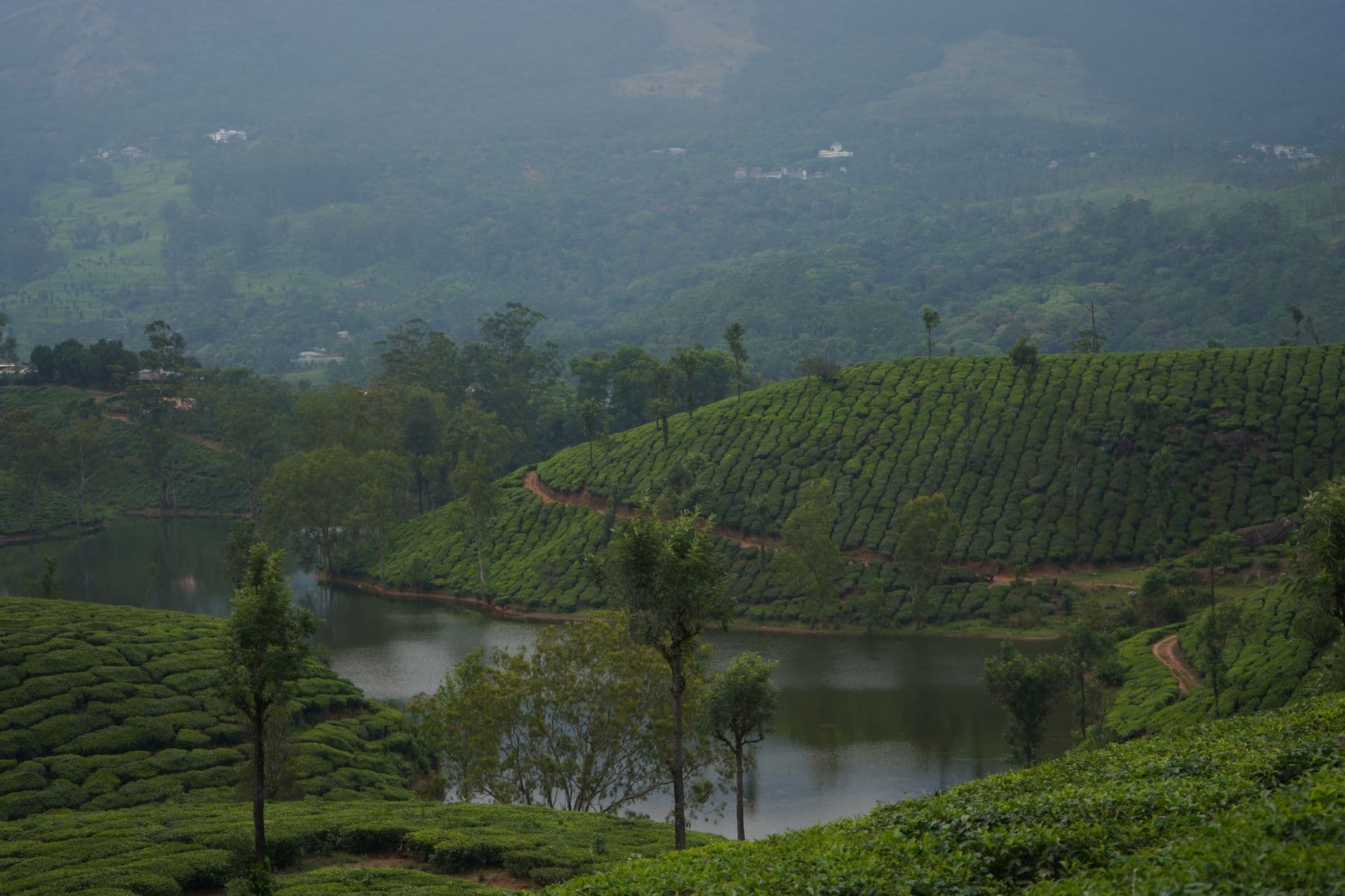 eSIM in Munnar 1