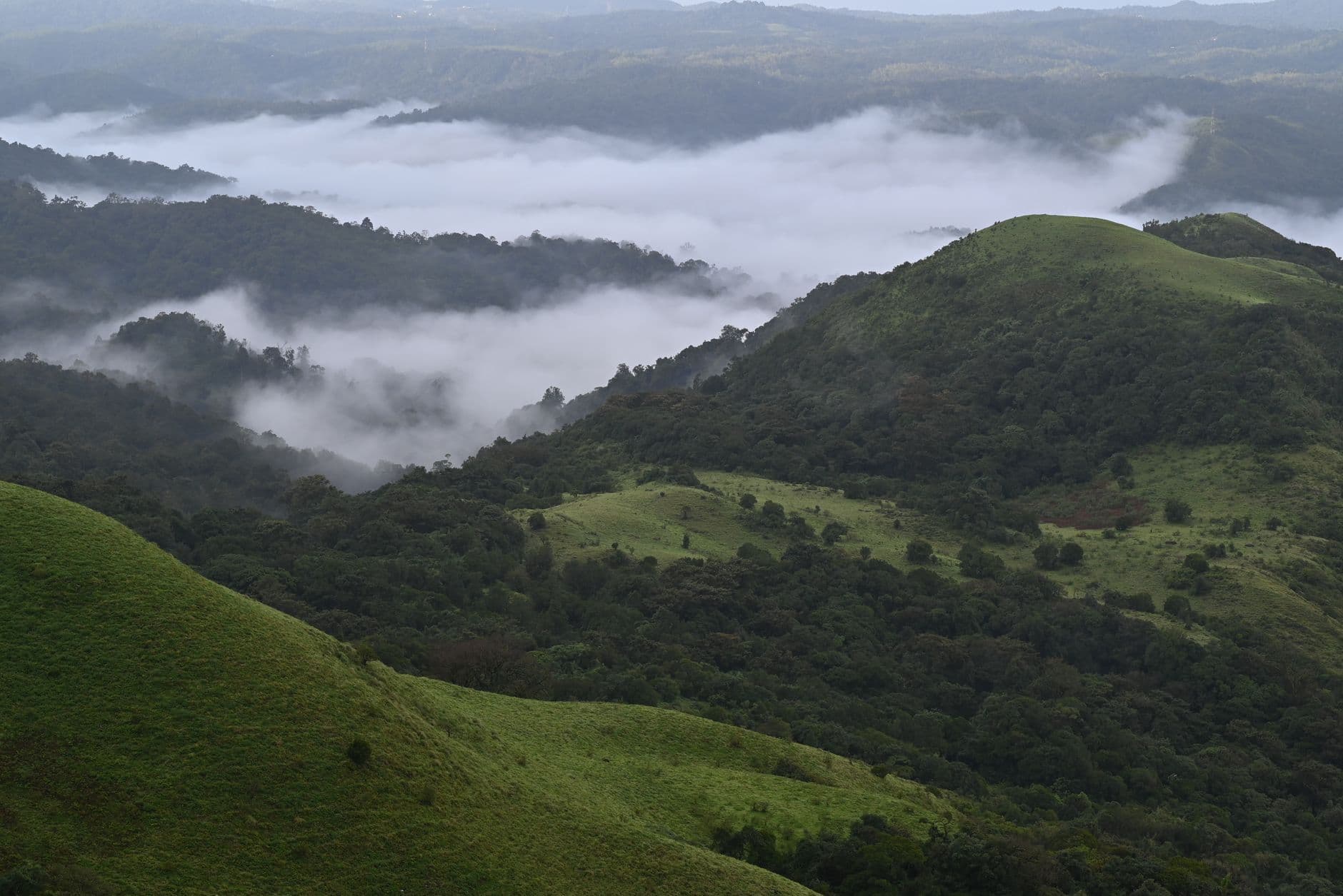 eSIM in Coorg 1