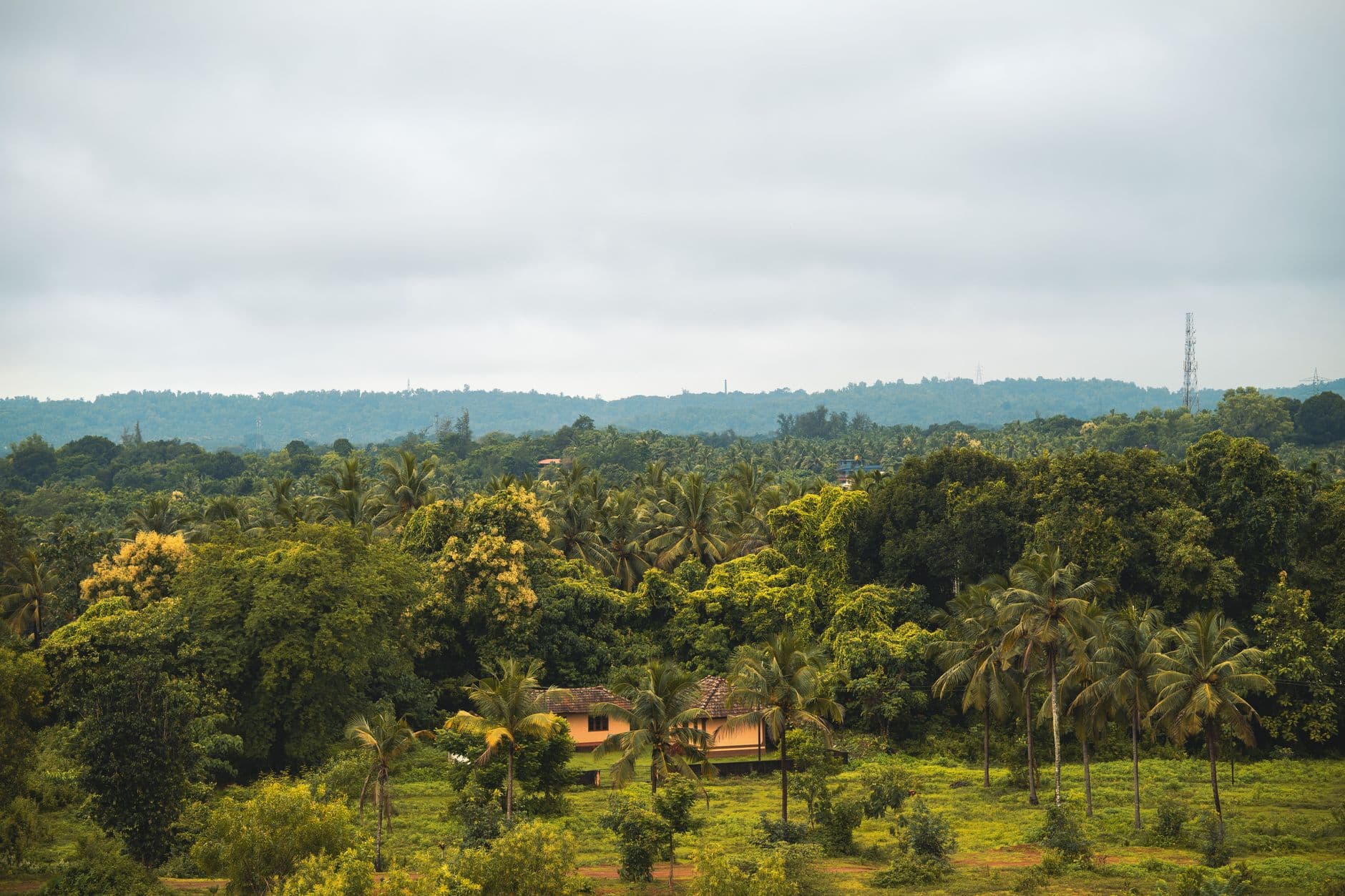 eSIM in Coorg 2