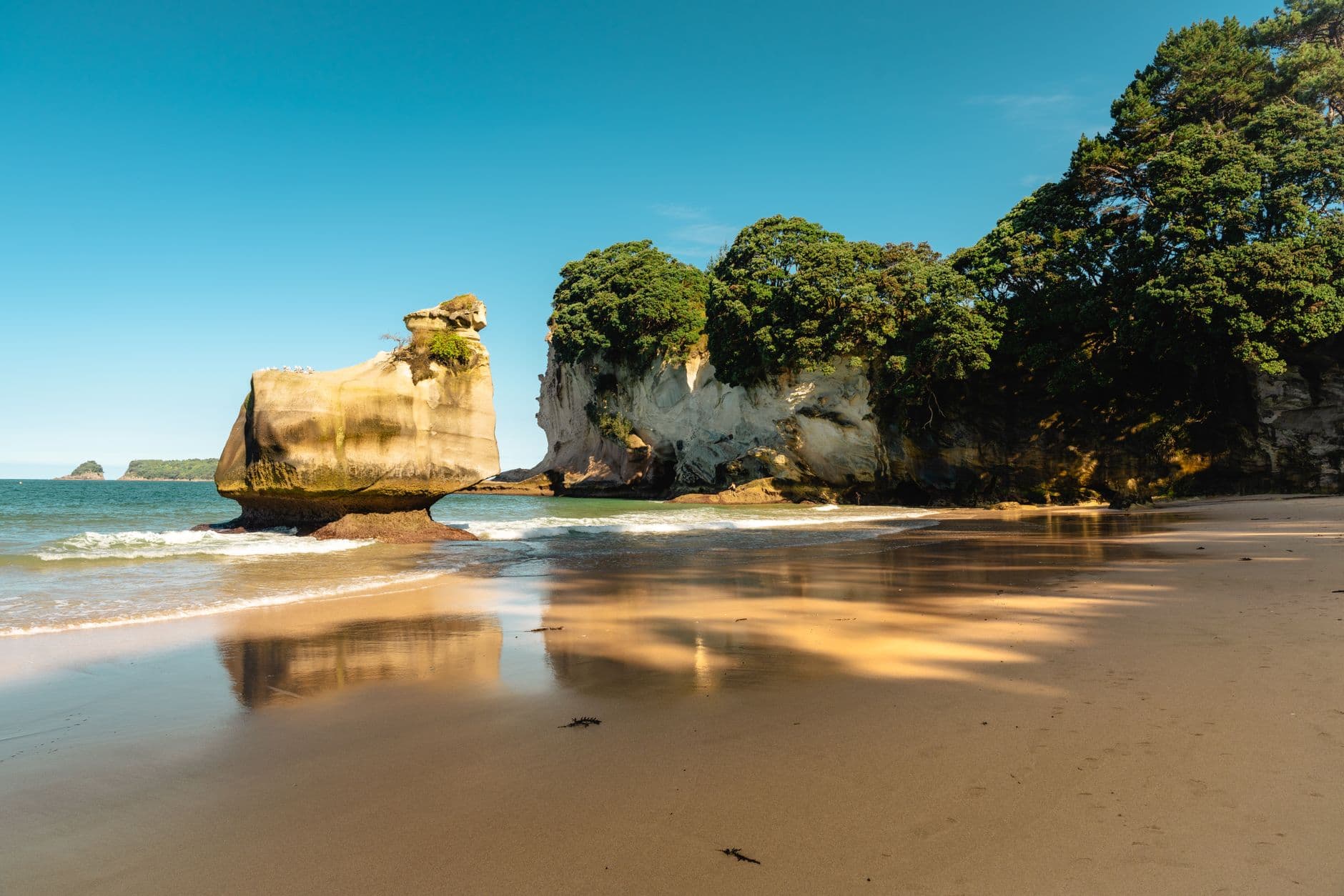 eSIM in Coromandel Peninsula 1