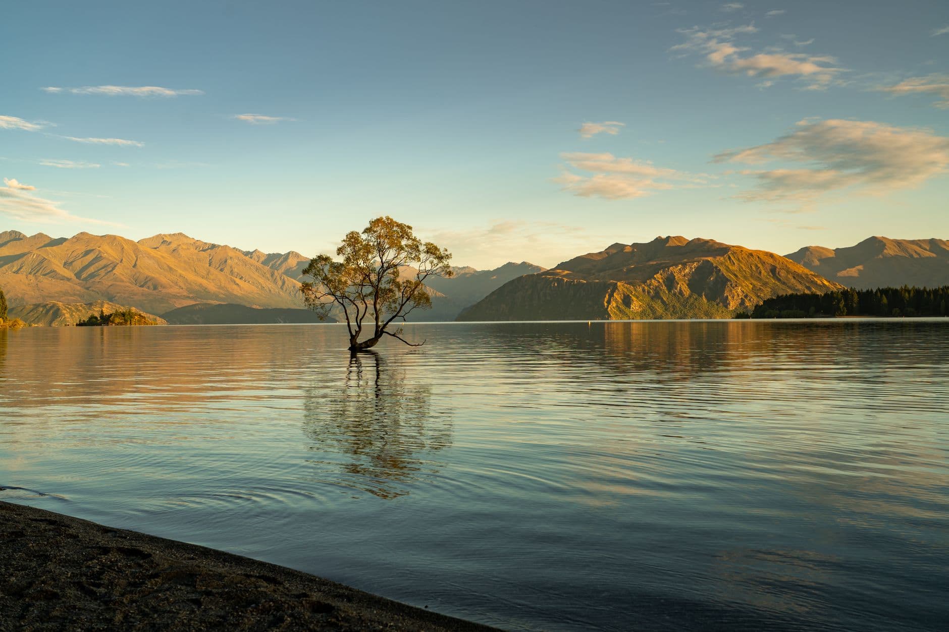 eSIM in Wanaka 1