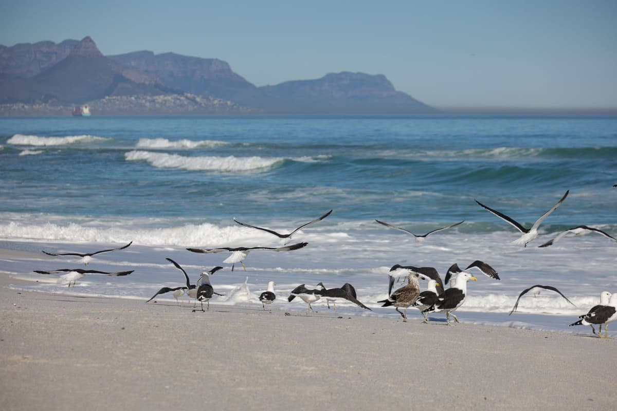 eSIM in Hermanus 1