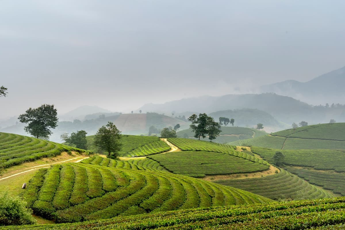 eSIM in Sapa Valley 2