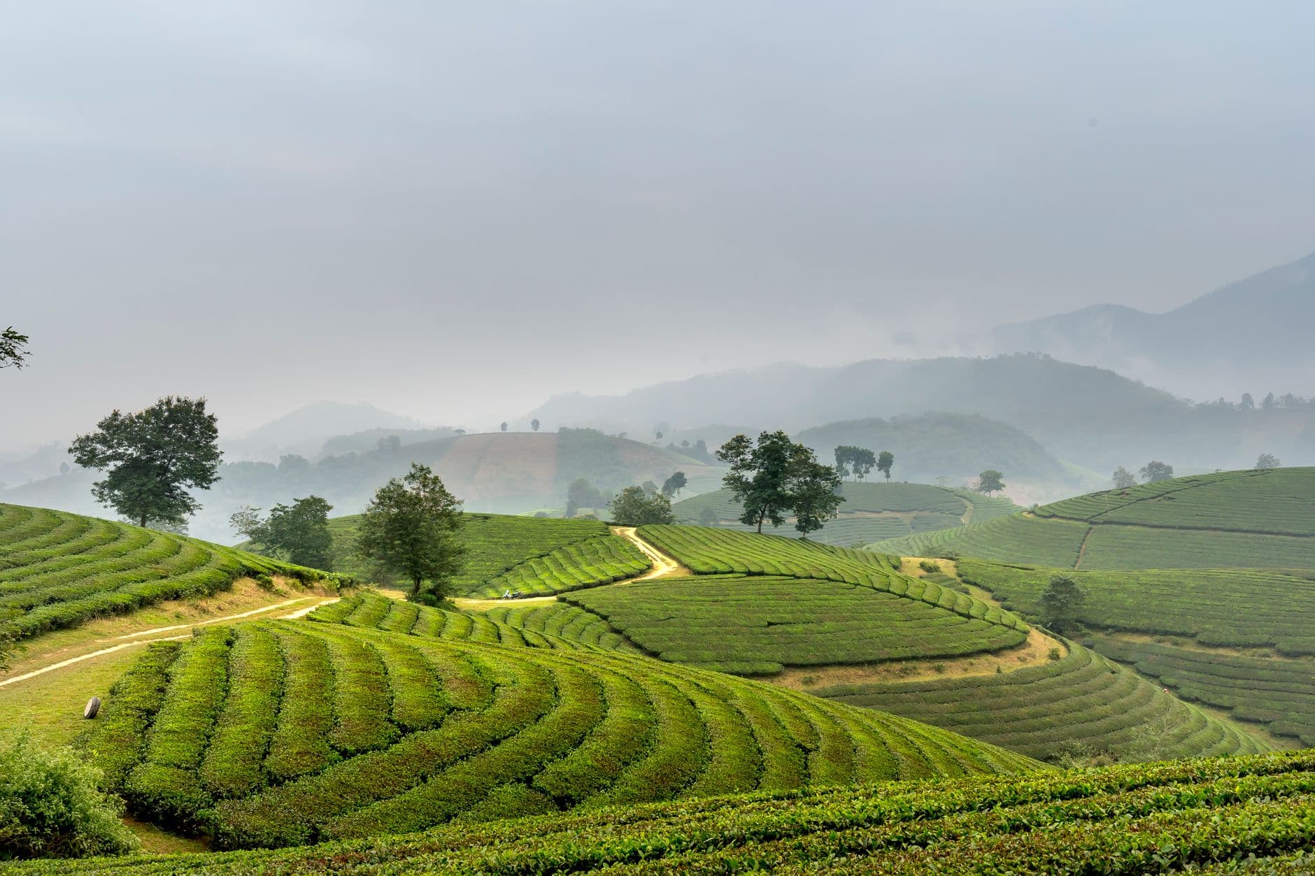 eSIM in Sapa Valley 2