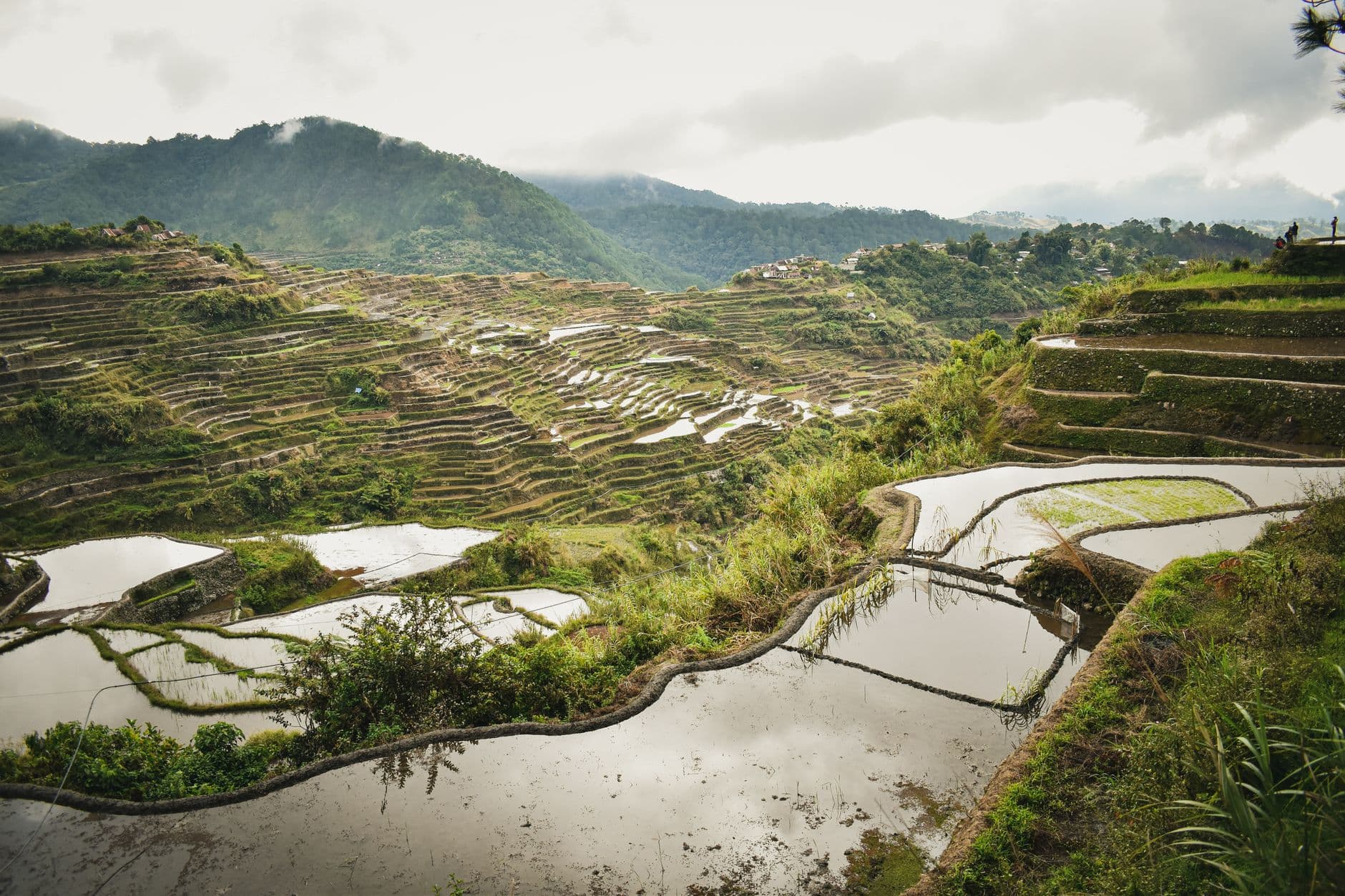 eSIM in Banaue Rice Terraces 1