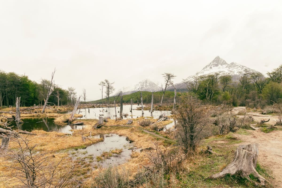 eSIM in Tierra del Fuego 1