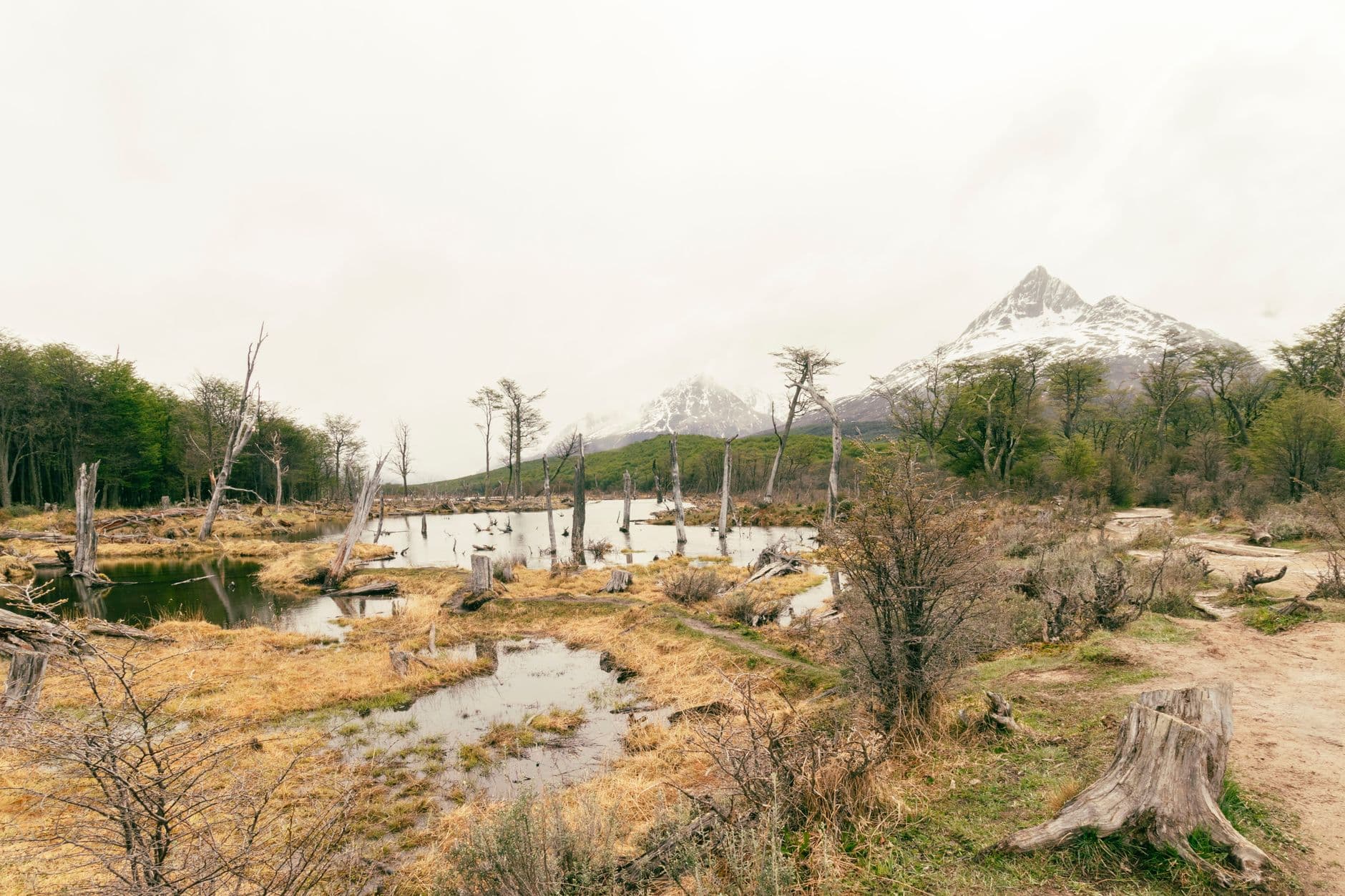 eSIM in Tierra del Fuego 1