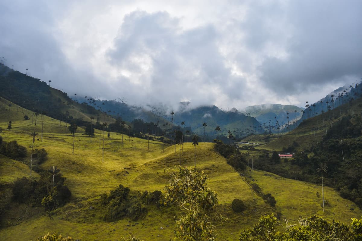 eSIM in Cocora Valley 1