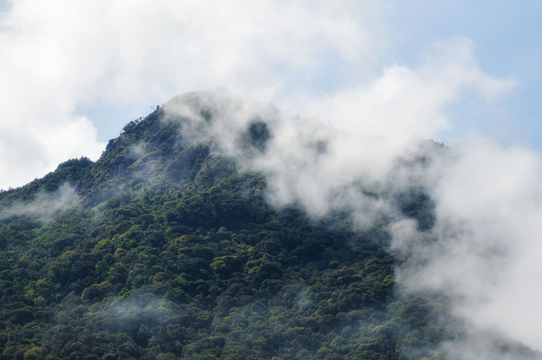 eSIM in Monteverde Cloud Forest 2