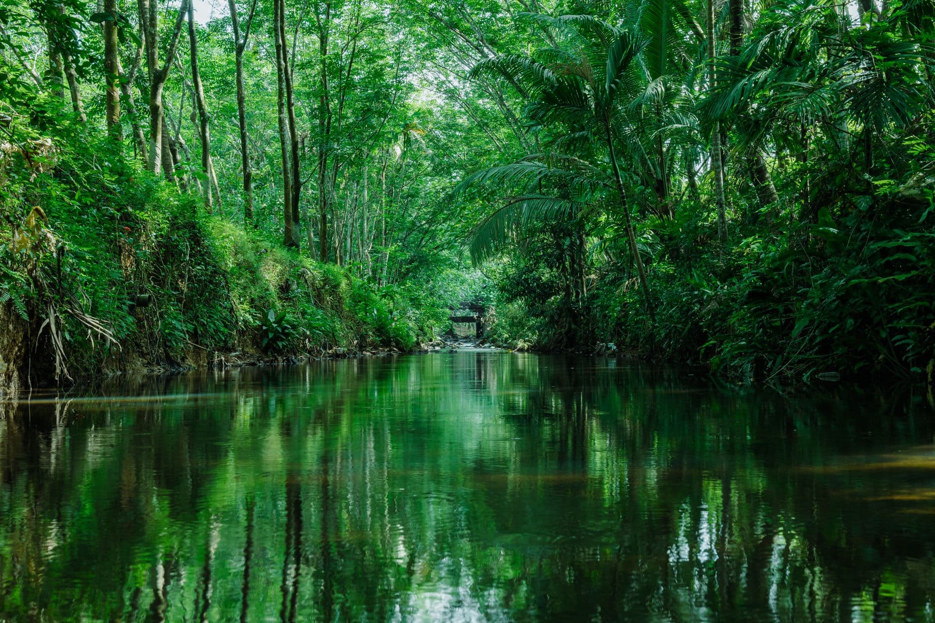 eSIM in Tortuguero 1