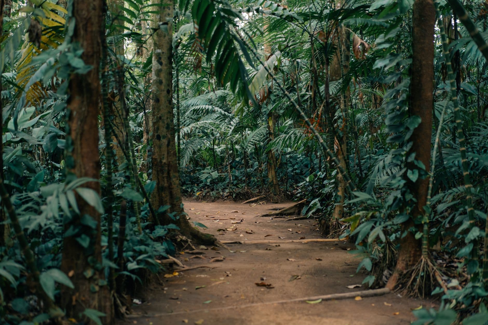 eSIM in Tortuguero 2
