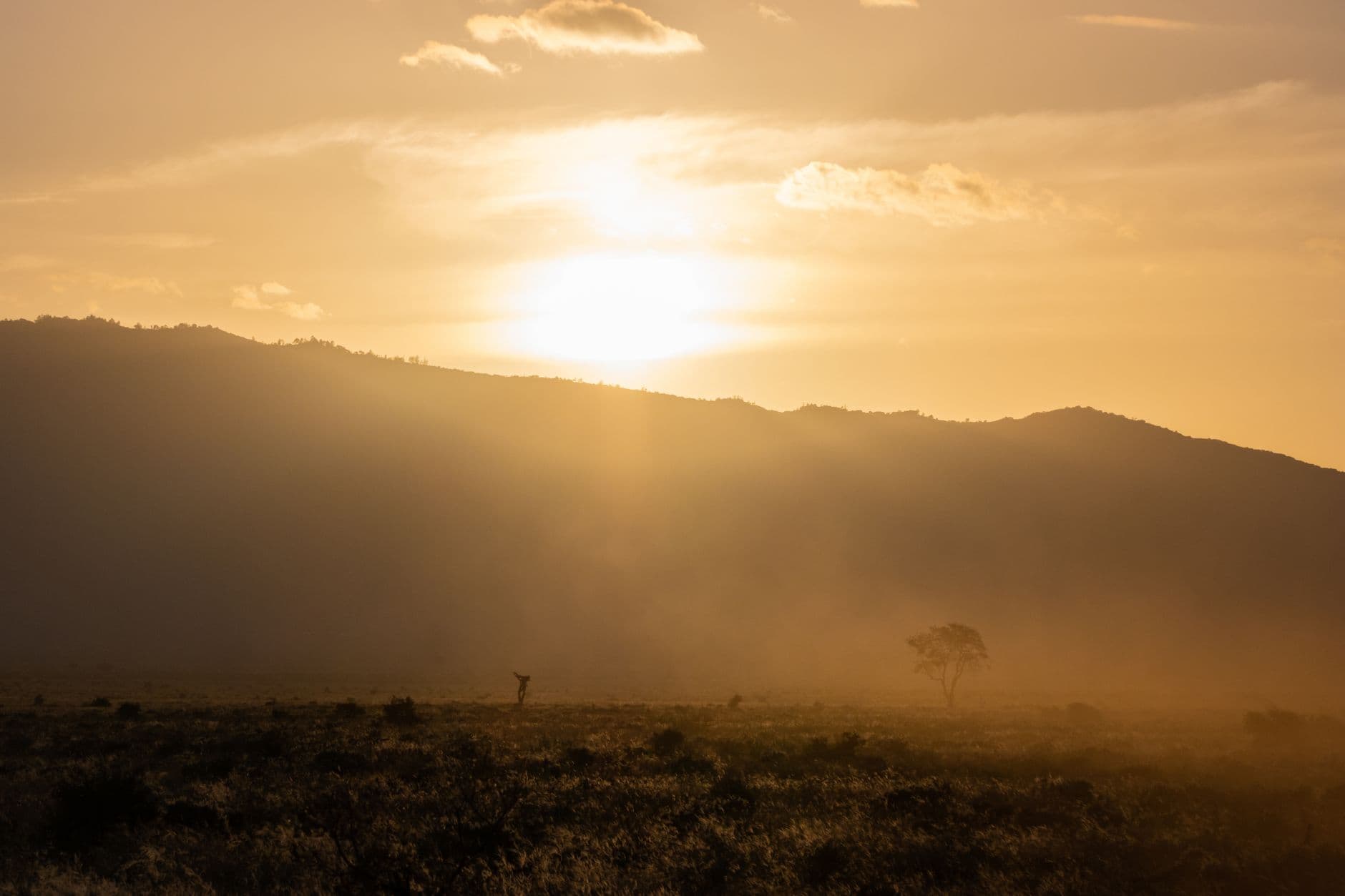 eSIM in Tsavo National Park 1