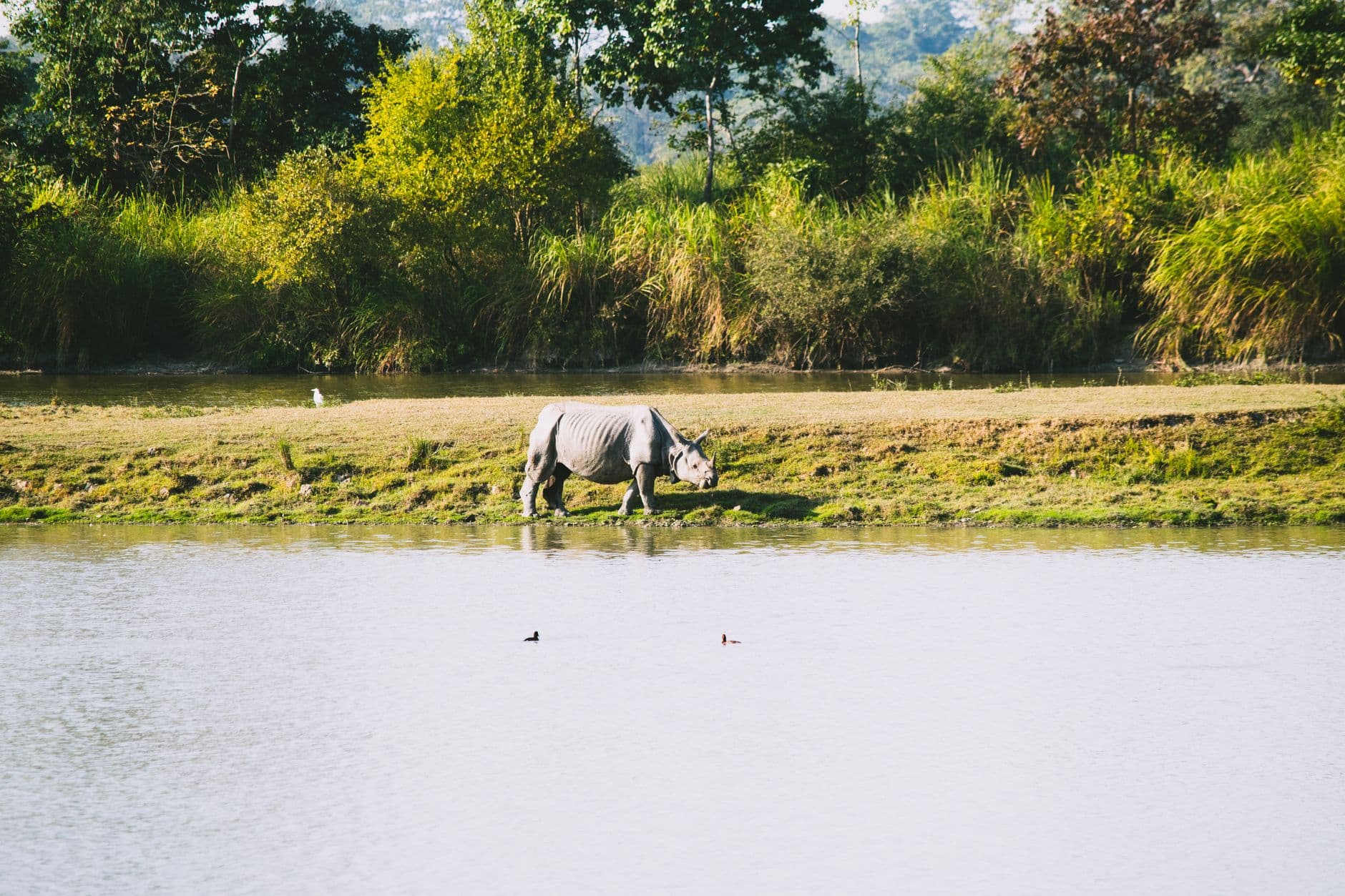 eSIM in Chitwan National Park 2