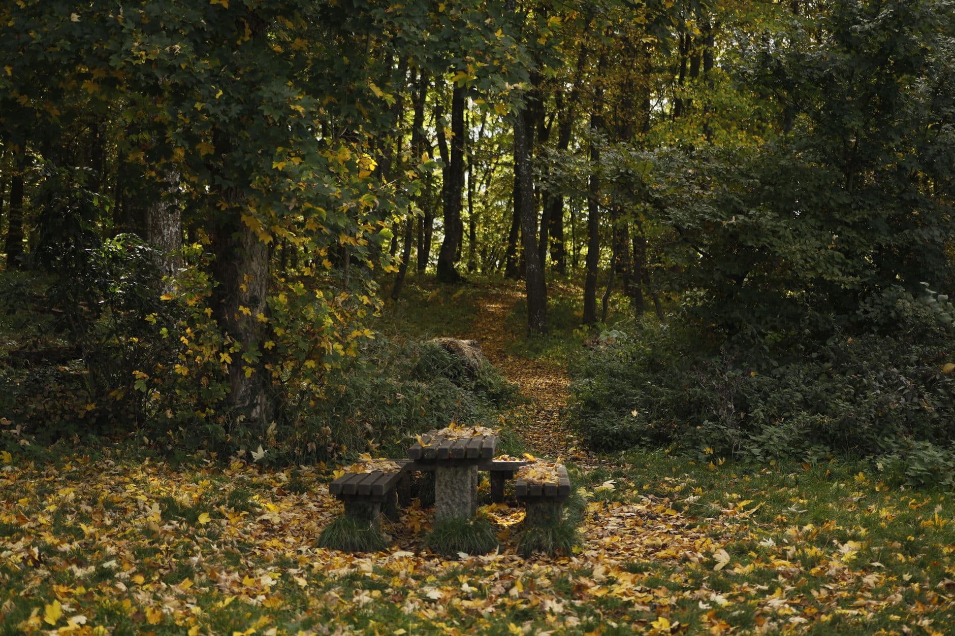 eSIM in Dilijan National Park 2