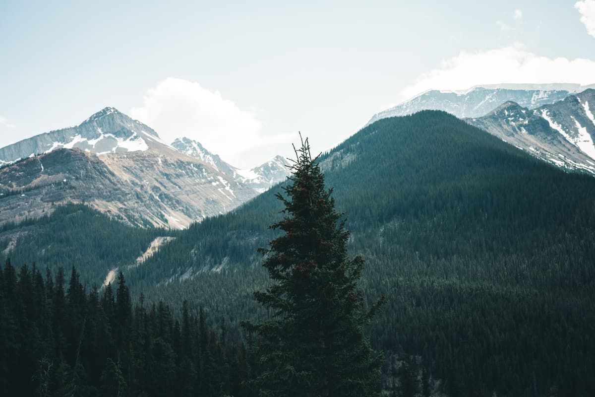 eSIM in Jasper National Park 2