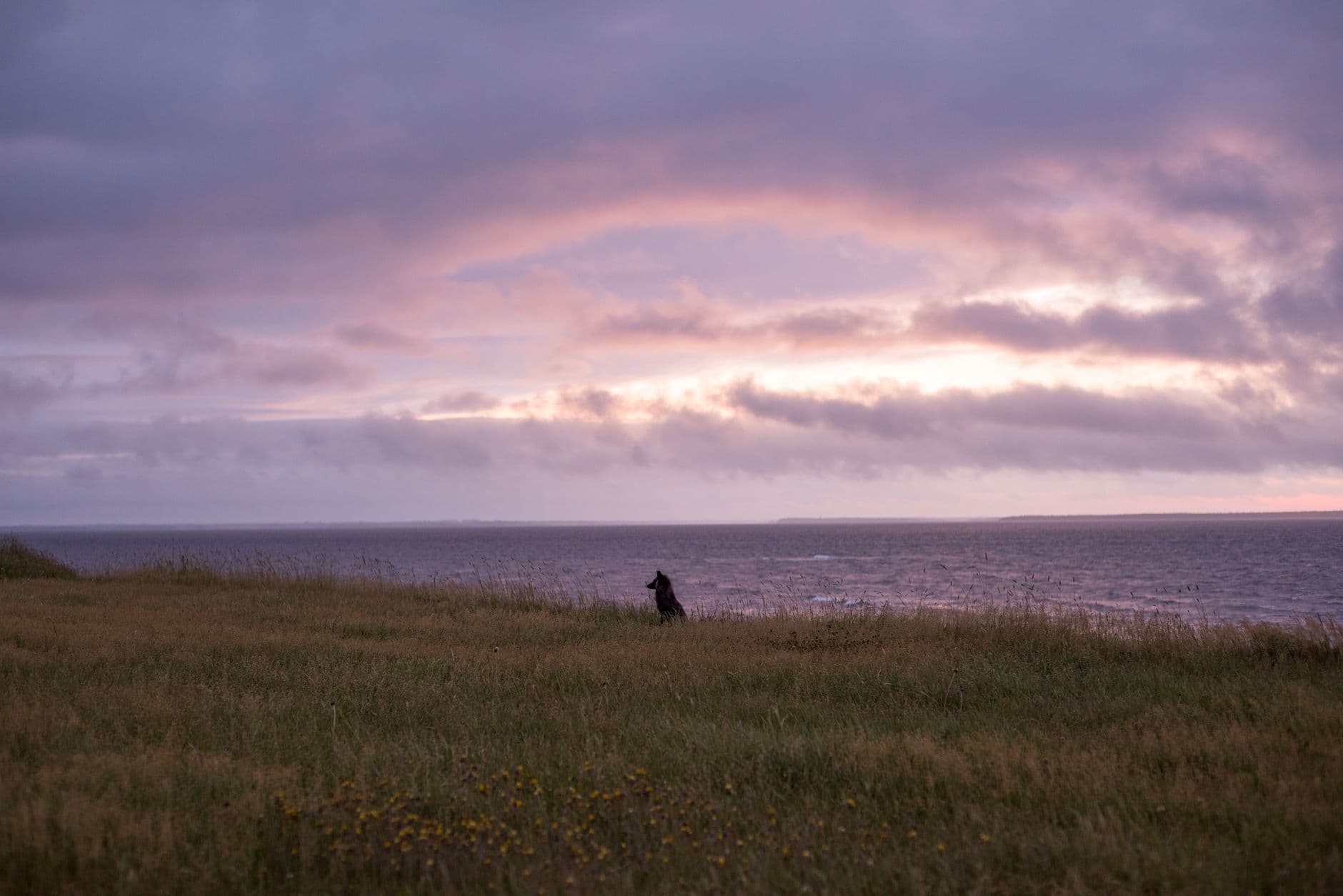 eSIM in Churchill Manitoba 1