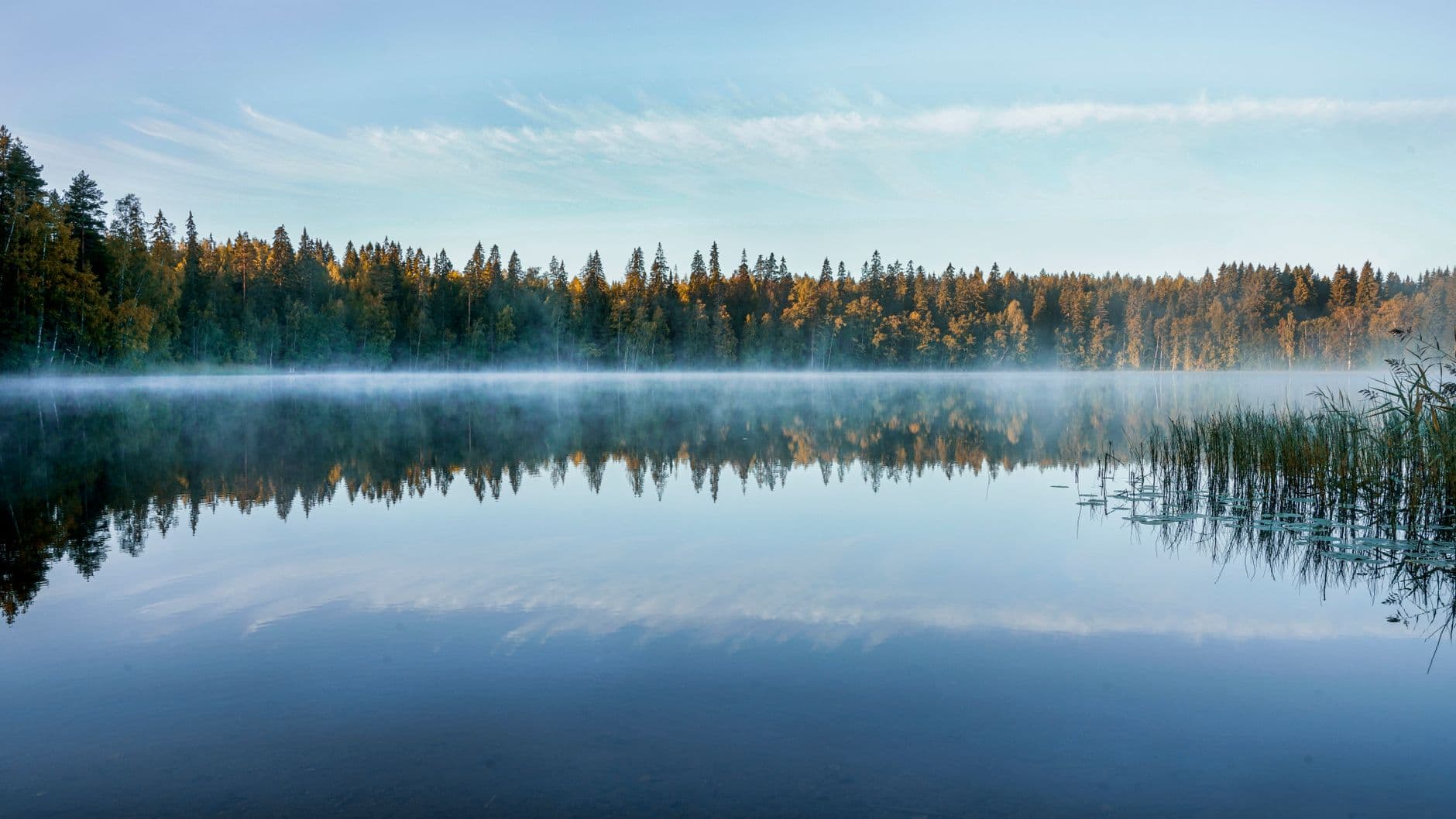 eSIM in Lakeland Finland 2
