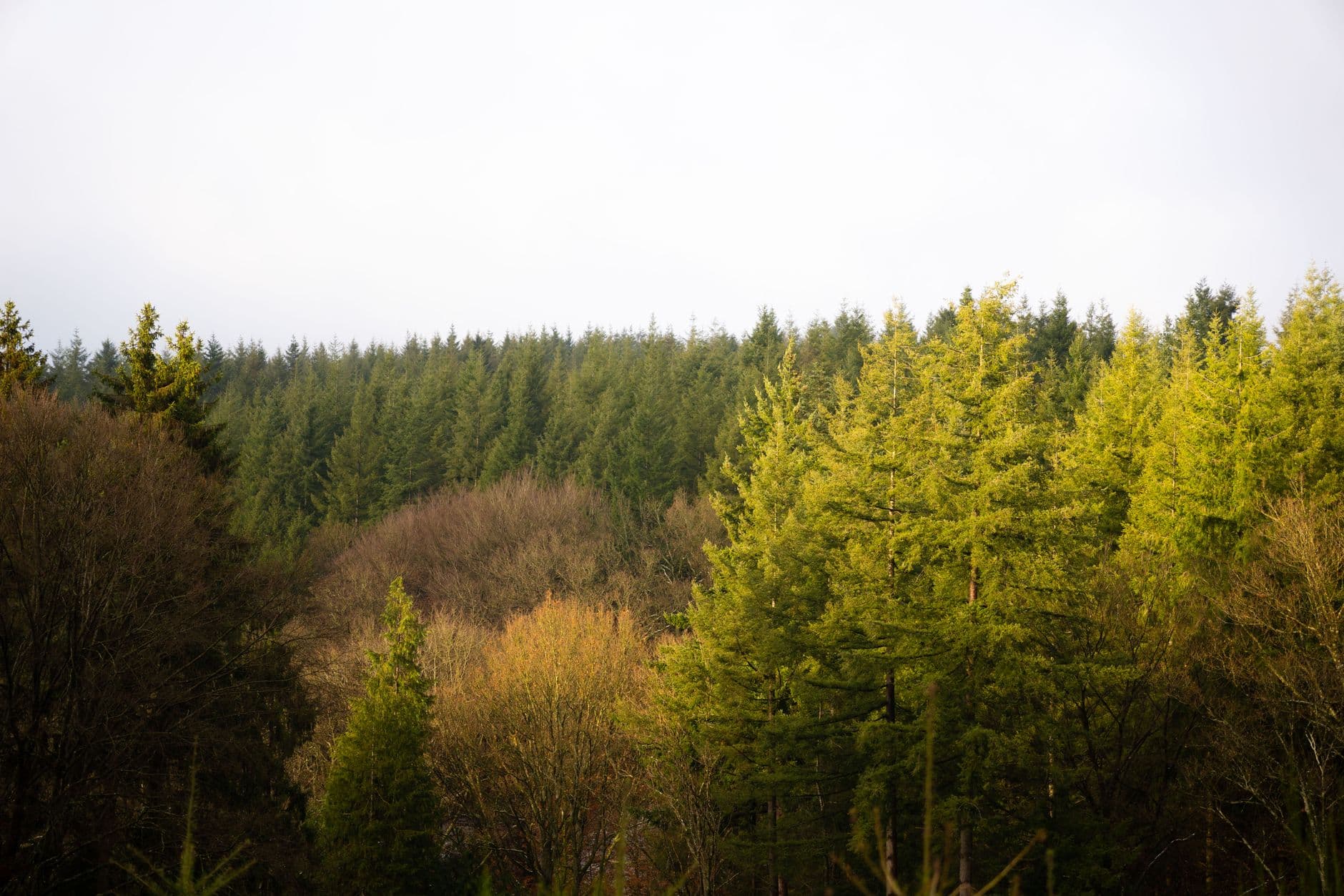 eSIM in Ardennes Belgium 1