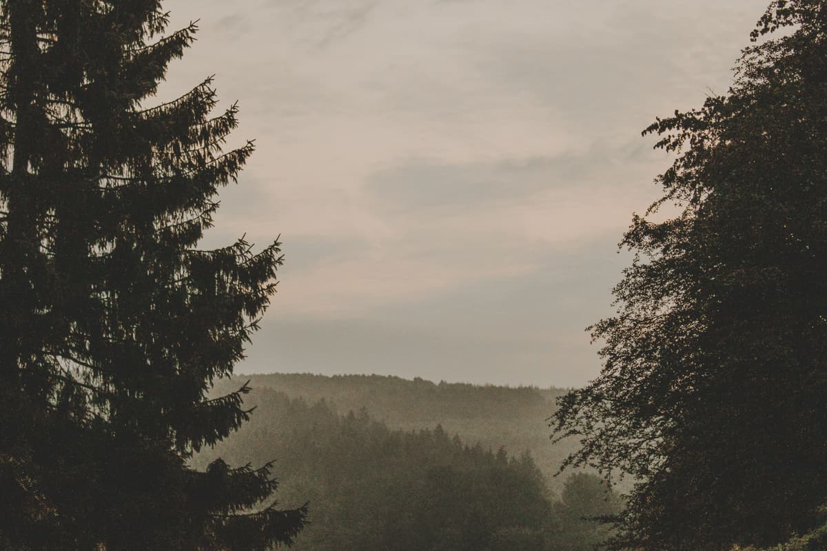 eSIM in Ardennes Belgium 2