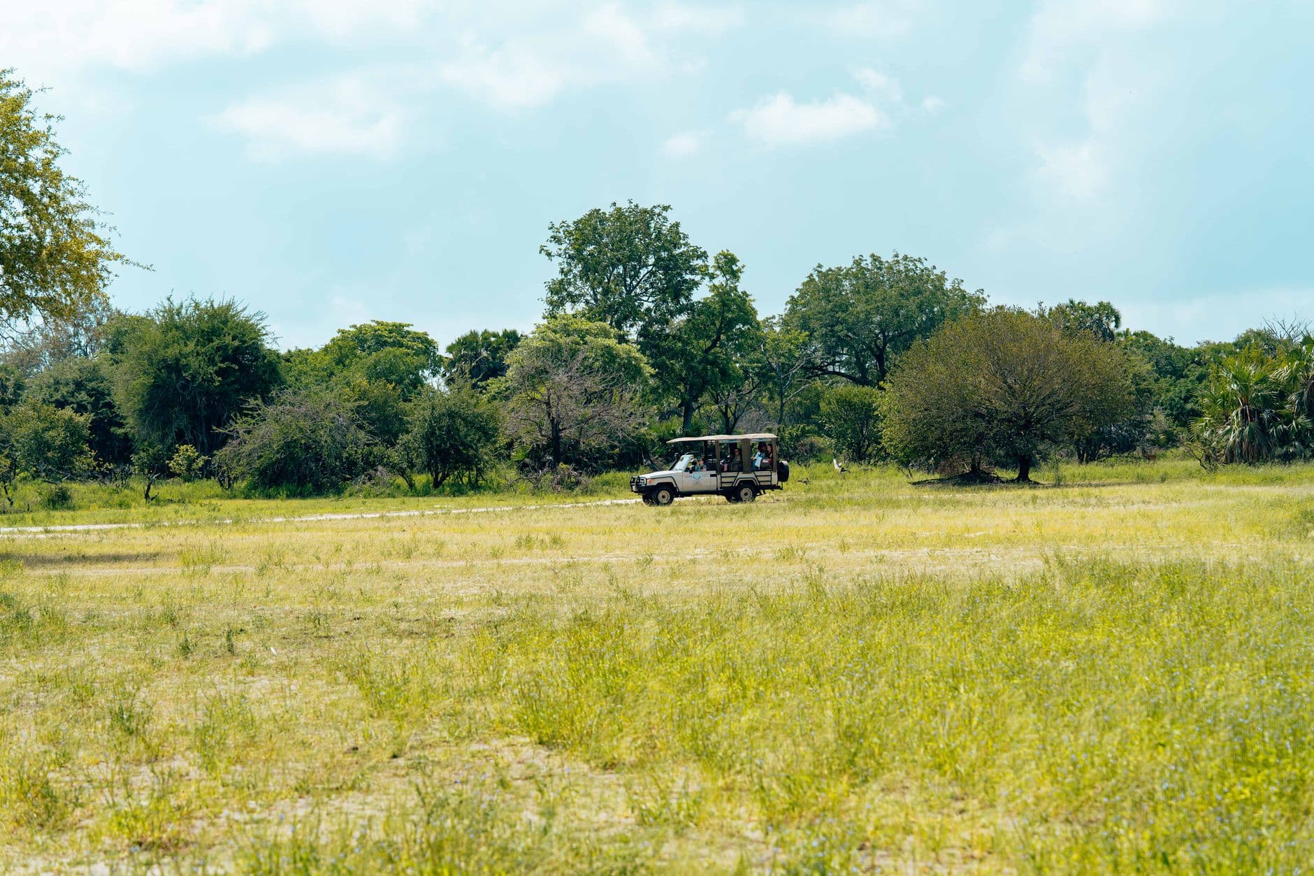 eSIM in Hwange National Park 2