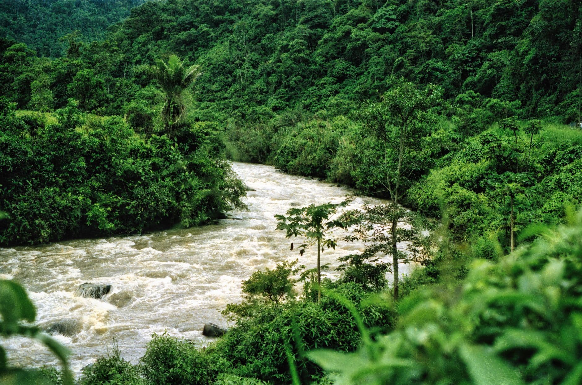 eSIM in Amazon Rainforest Ecuador 1