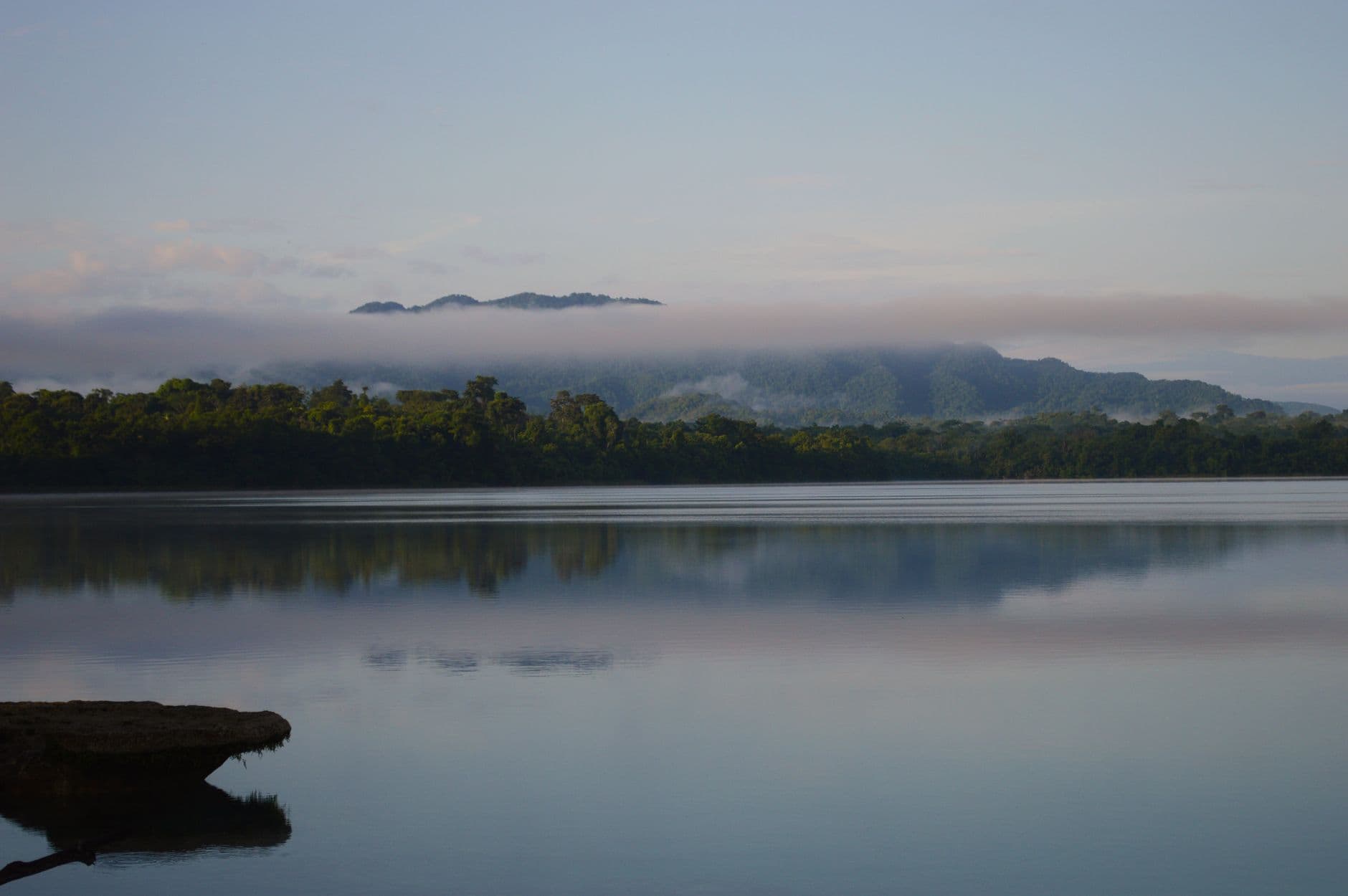 eSIM in Madidi National Park 2