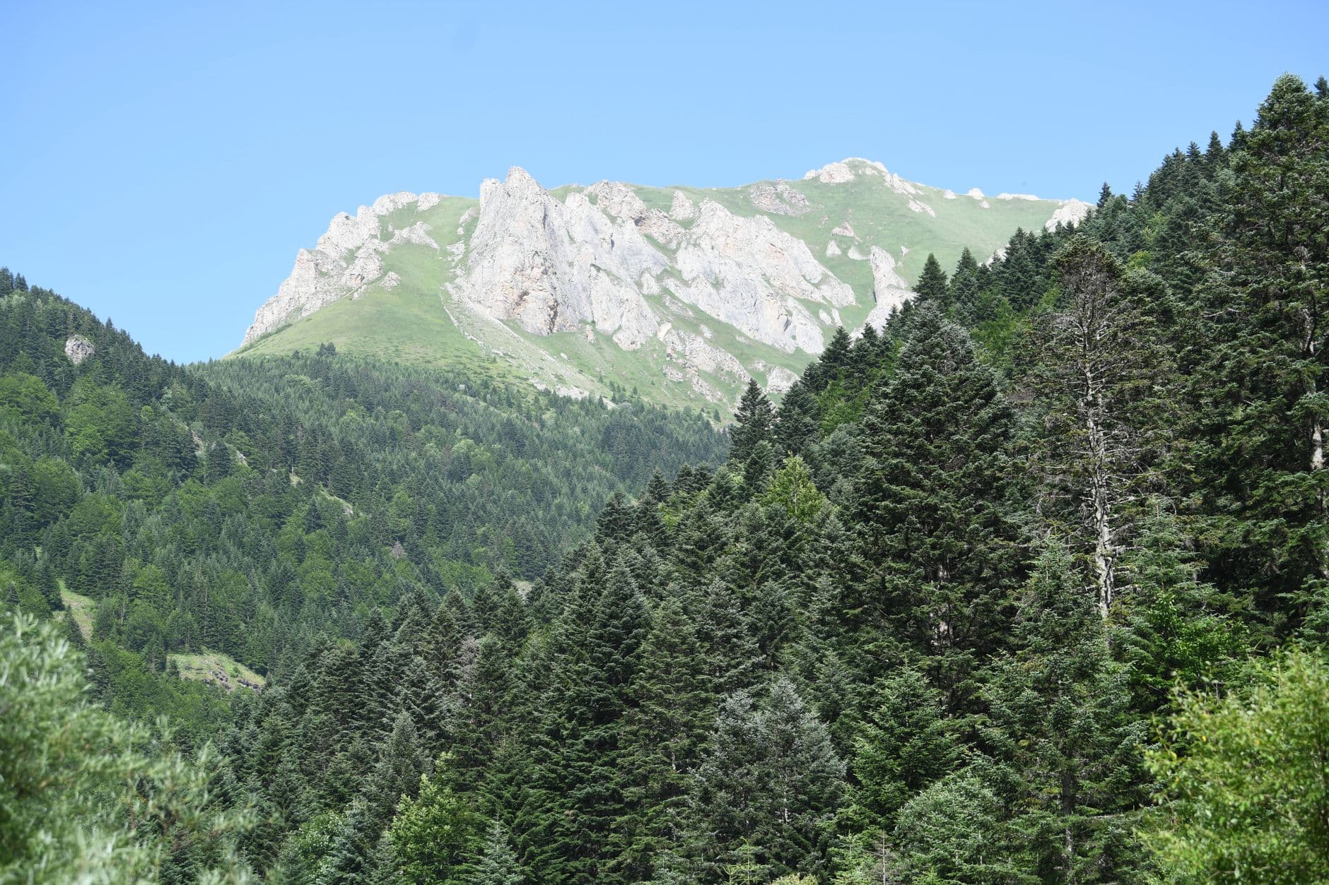 eSIM in Sutjeska National Park 1