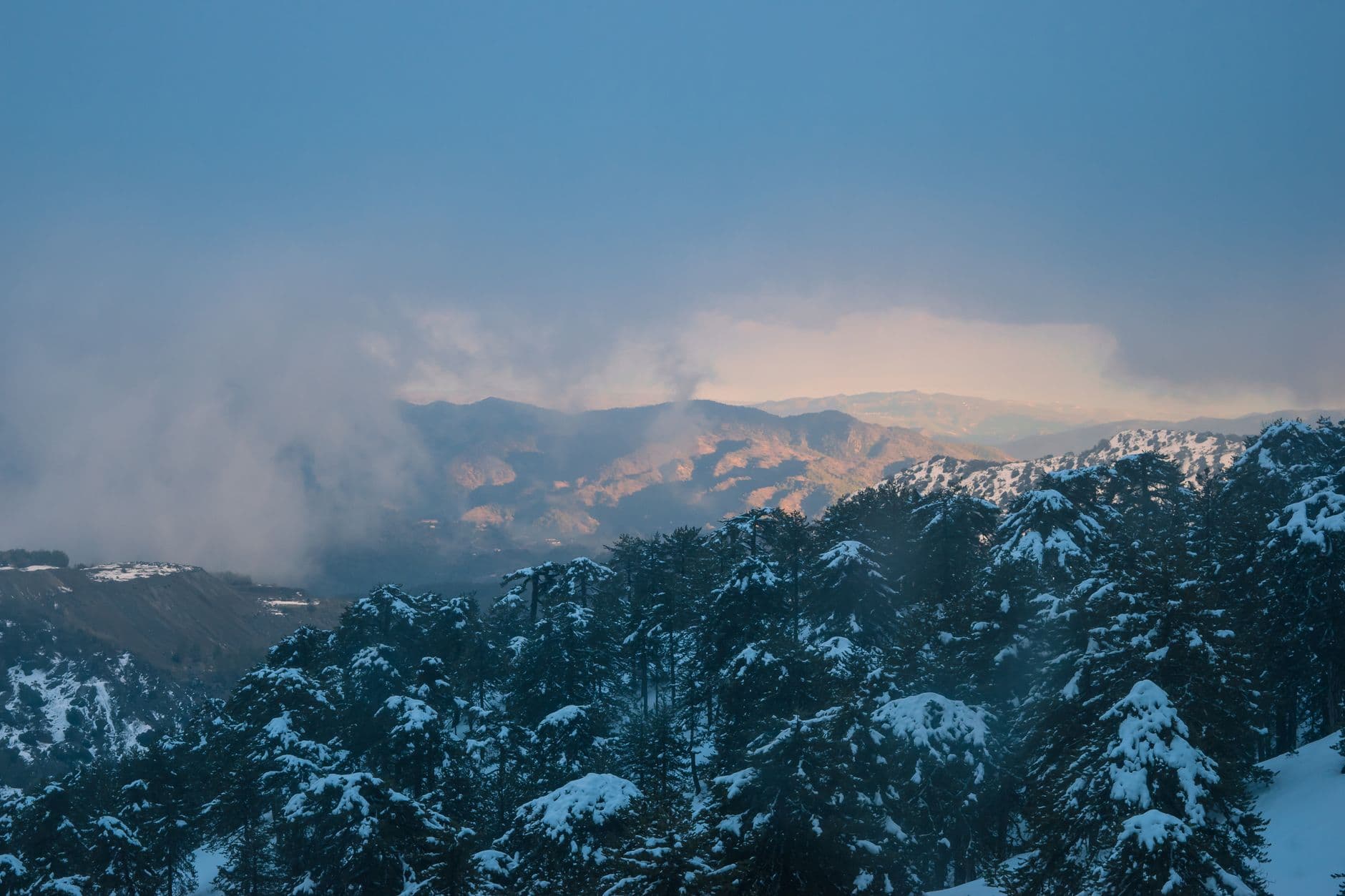 eSIM in Troodos Mountains 1