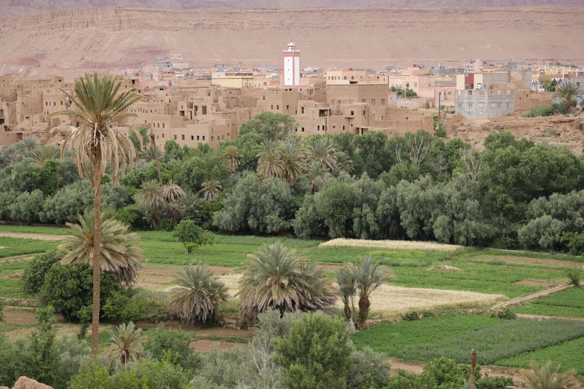 eSIM in Tozeur Oasis 1