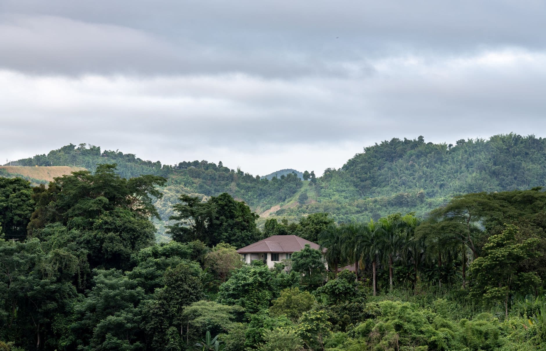 eSIM in Obudu Mountain Resort 2