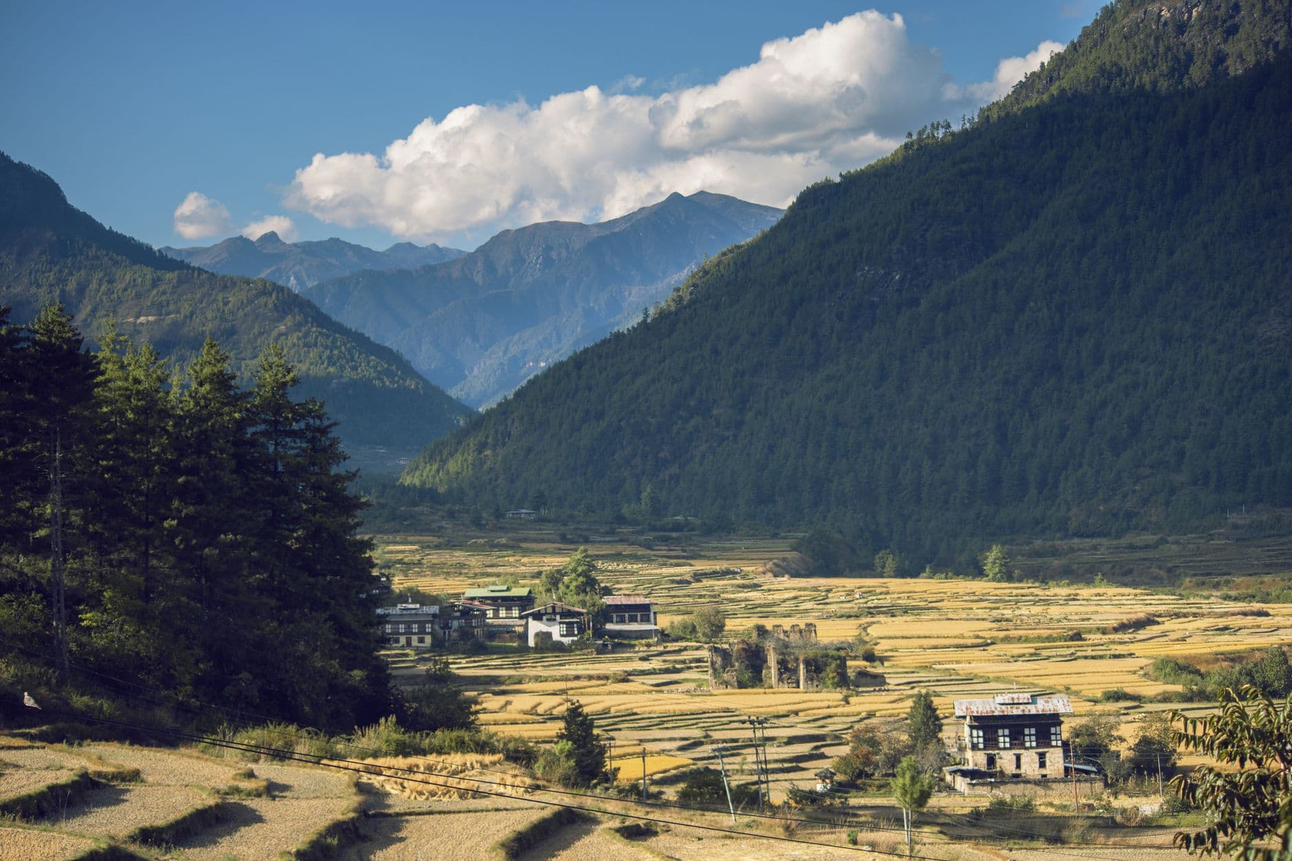 eSIM in Punakha Valley 2