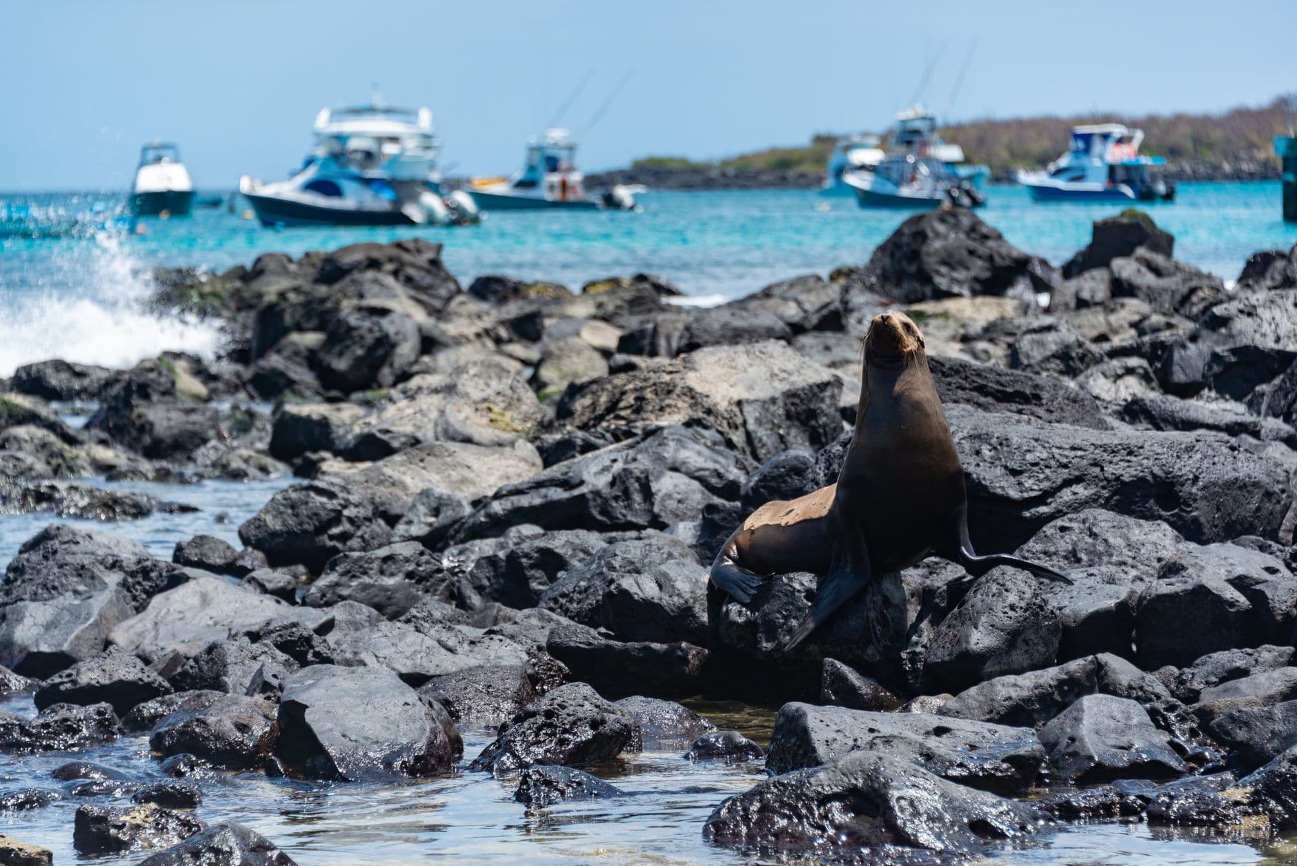 eSIM in Galapagos Islands 2