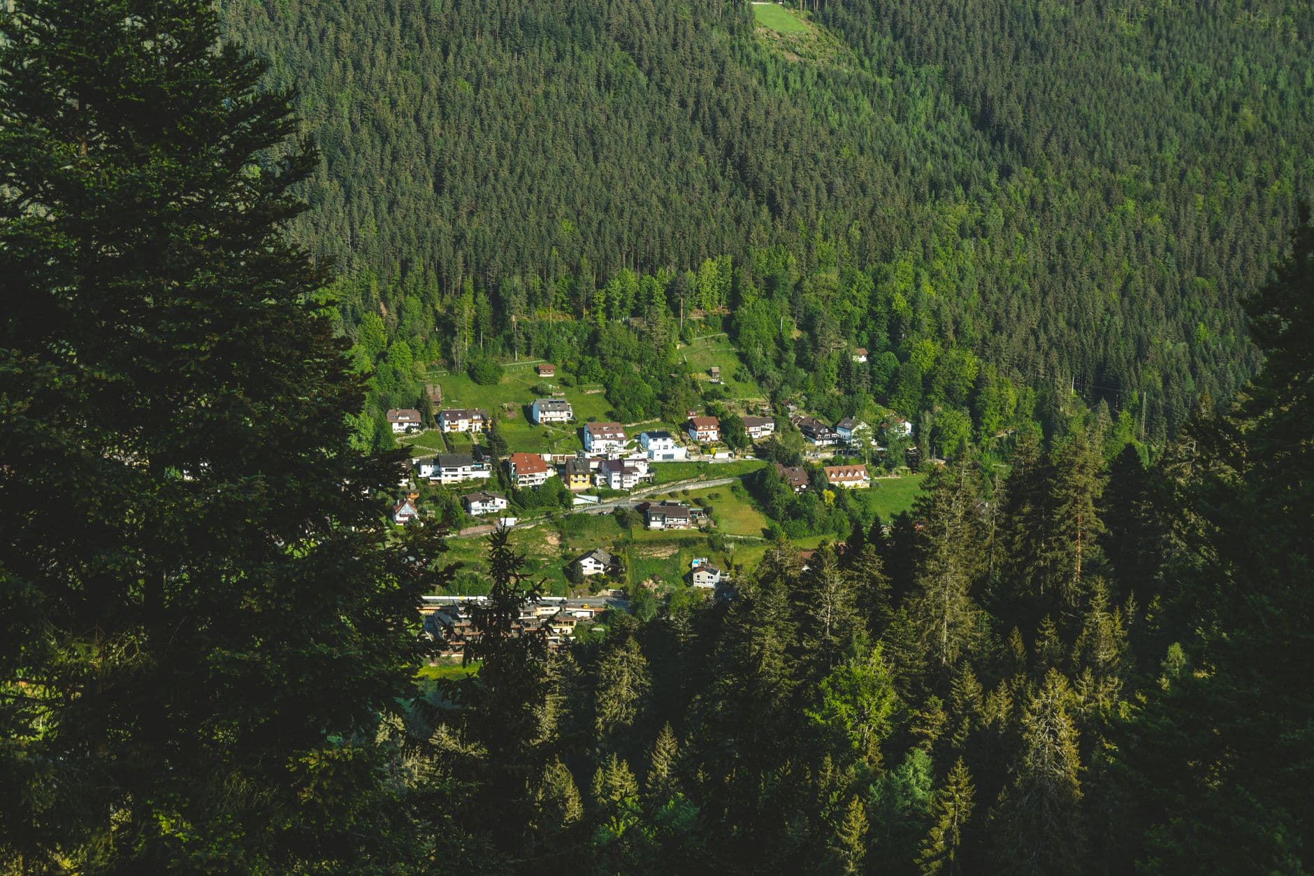 eSIM in Black Forest 2