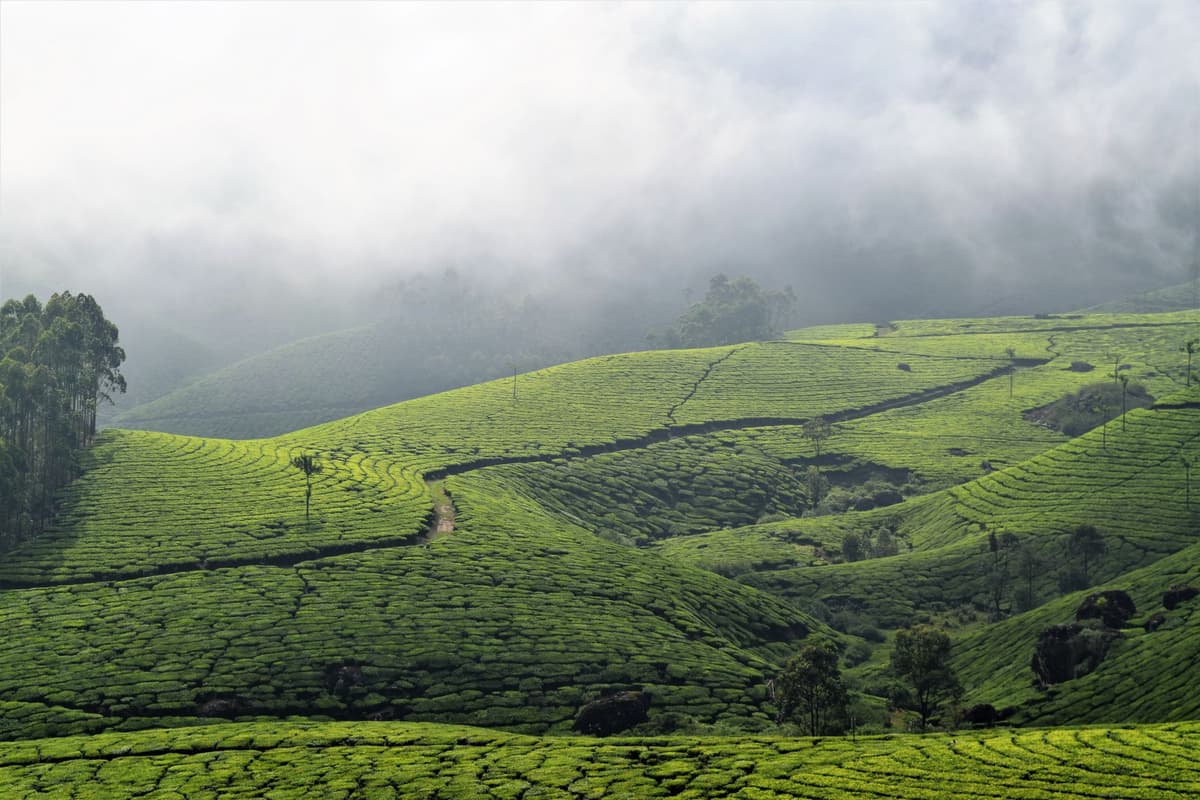 eSIM in Kerala 1