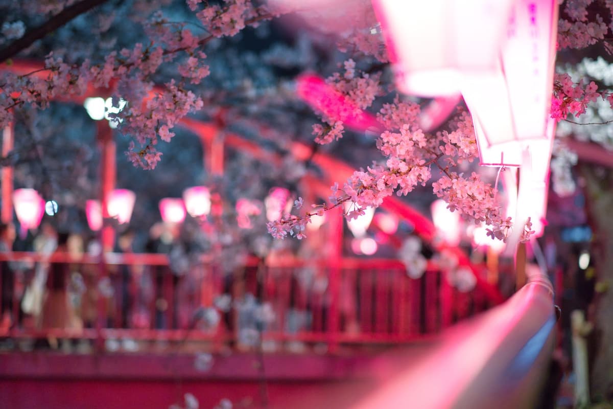 eSIM in Cherry Blossom Season Japan 2