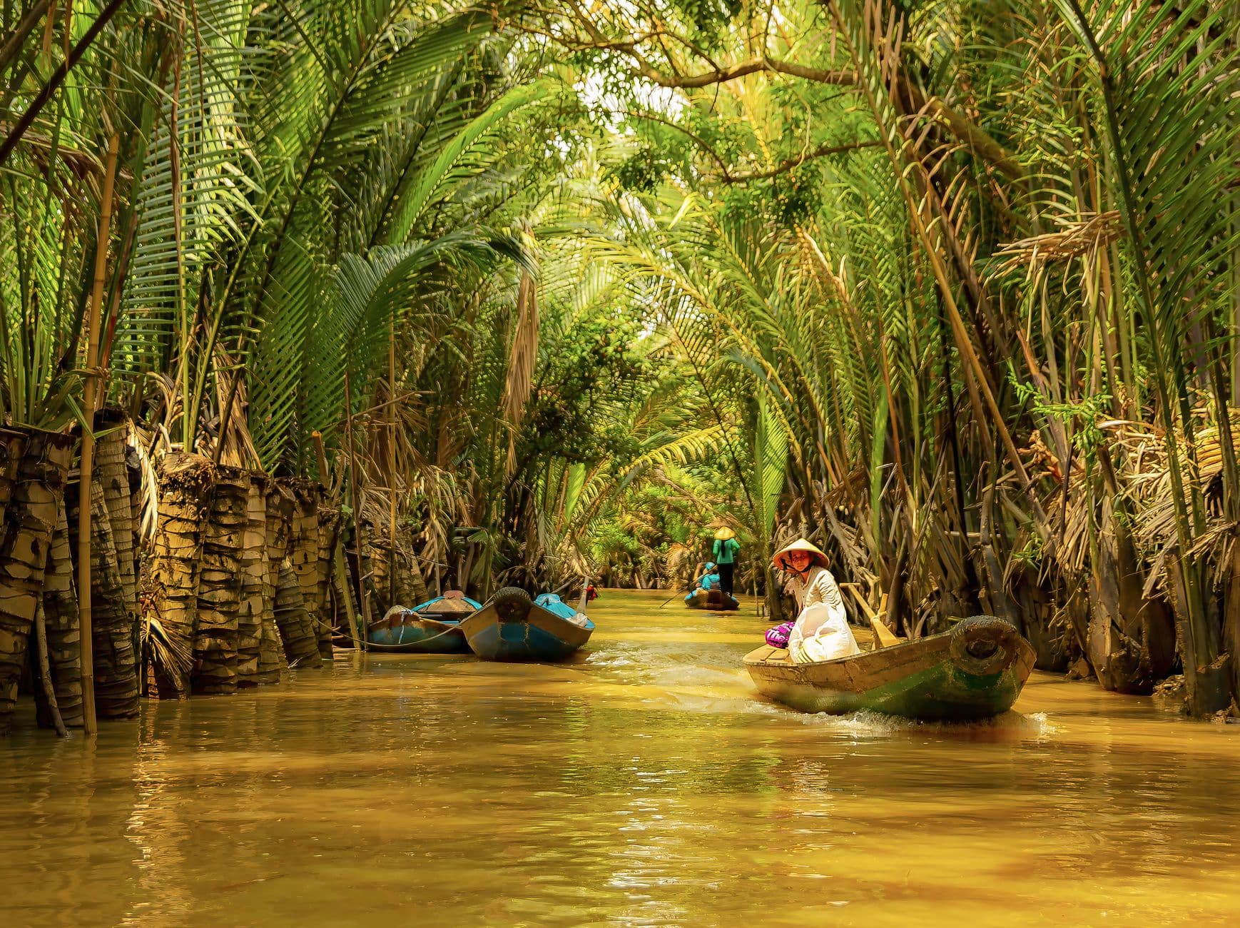 eSIM in Mekong Delta 1