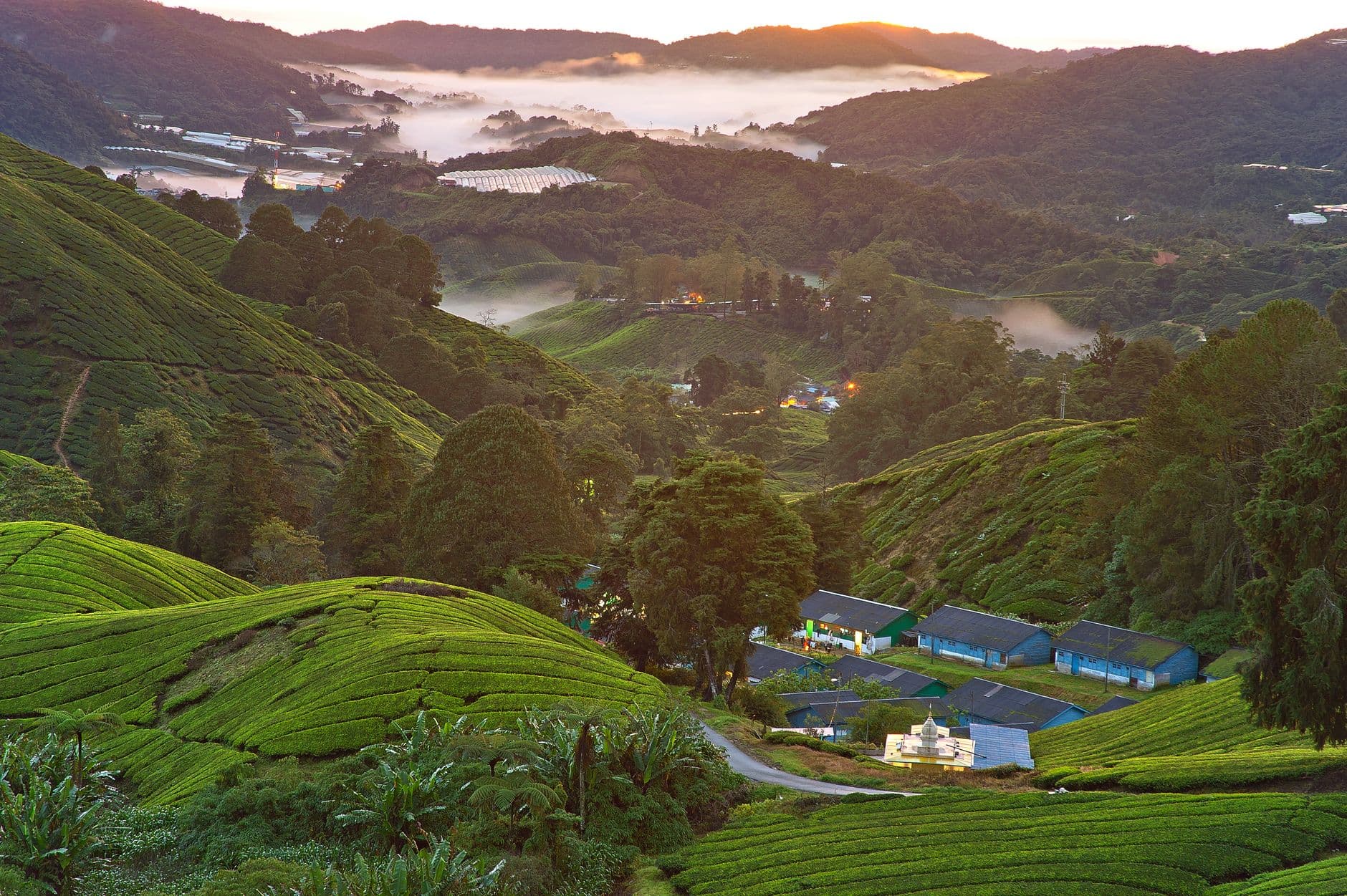 eSIM in Cameron Highlands 2