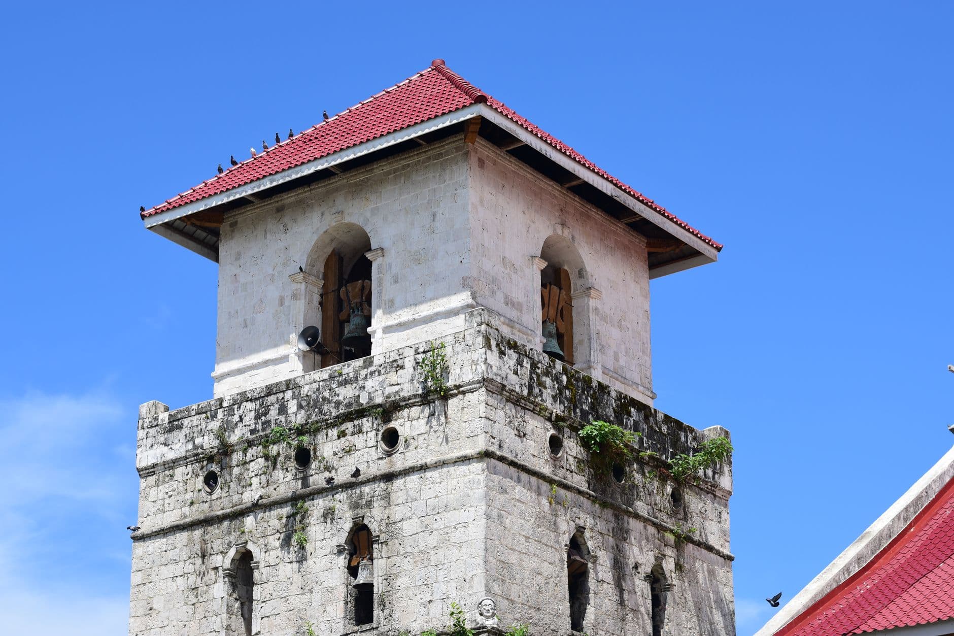 eSIM in Bohol 1
