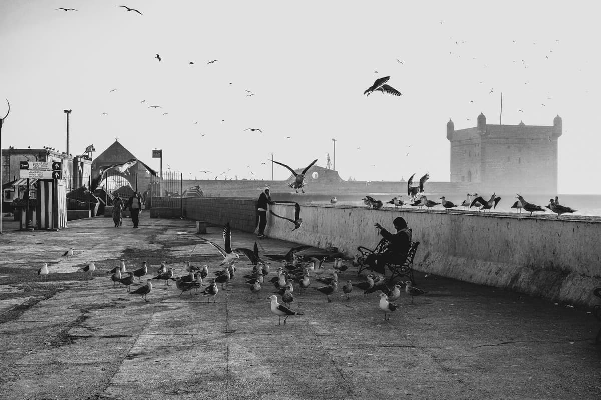 eSIM in Essaouira 2