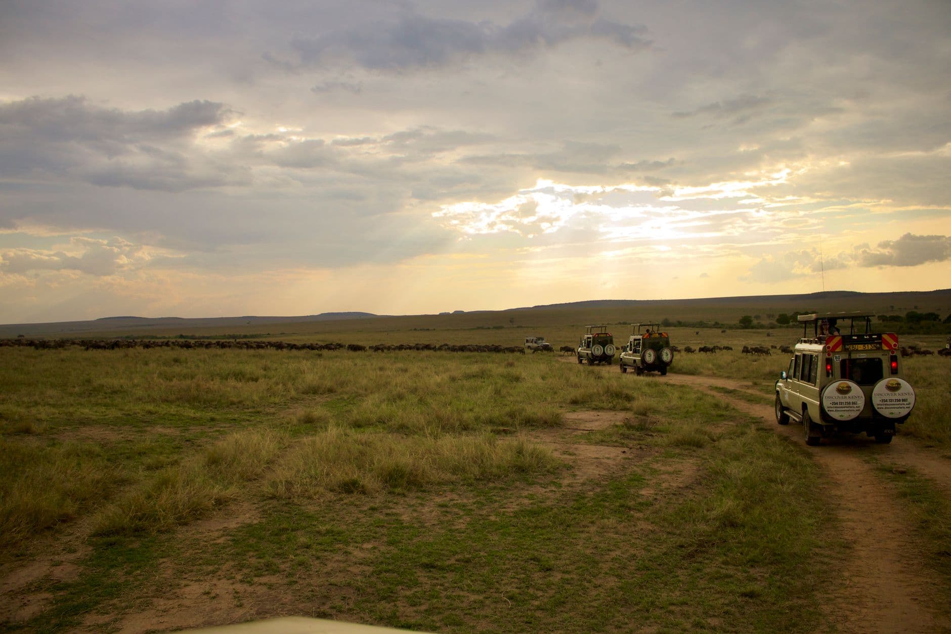 eSIM in Great Migration Kenya 1
