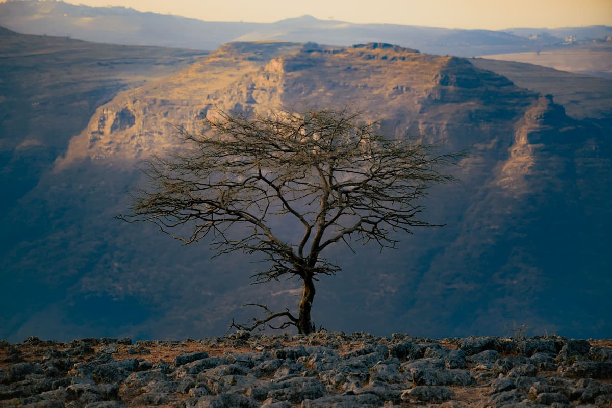 eSIM in Simien Mountains 1