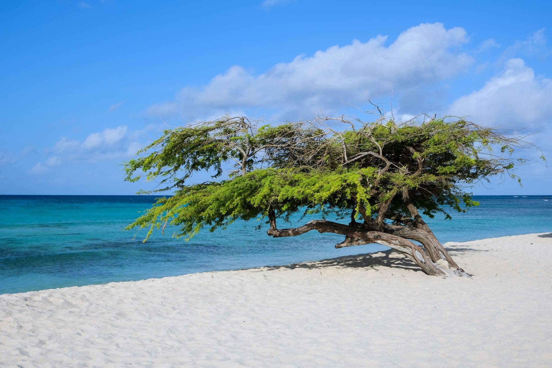 eSIM in Eagle Beach Aruba 2