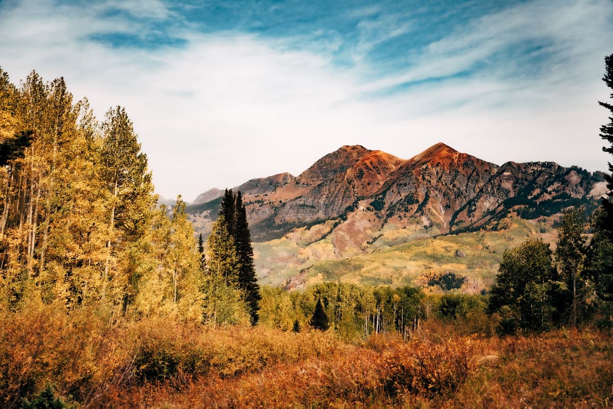 eSIM in Aspen 2